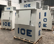 Tankstelle-Eis-Kühlvorrichtungs-aufrechter fester Tür-Gefrierschrank-Eisspeicher-Behälter