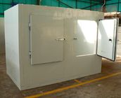 Kommerzieller Kühlraum-Kühlraum, beweglicher modularer Weg im Kühlschrank mit dem Ventilator-Abkühlen