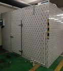 Elektrischer entfrostender Kühlhaus-Raum für Obst und Gemüse mit Volumen von 800 Tonnen