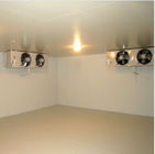 Raum fabrizierten des Kühlraum-440V/modulares Kartoffel-Kühlhaus-Obst und Gemüse Kühlräume vor