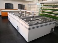 Inselgefrierschrank-Verkaufsmöbel der Tiefkühlkost des Supermarktes kombiniertes