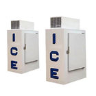 Vertikaler einzelner Tür-Eisspeicher-Gefrierschrank, kalte Wand-Eis-Verkaufsberater CER im Freien