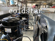 Kommerzieller aufrechter Glastürgefrierschrank, Auto entfrosten Tiefkühlkostkühlvitrine