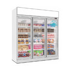 Tiefkühlkost-Gefrierschrank-Einkommen-Vertikalen-Handelsglastür-Kühlschrank-Gefrierschrank