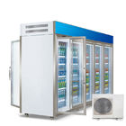 Gemischtwarenladen-Kühlschrank-und Gefrierschrank-vertikaler Schaukasten-Kühler