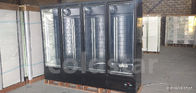 Carel Thermostat Commercial Upright Freezer für Tiefkühlkost