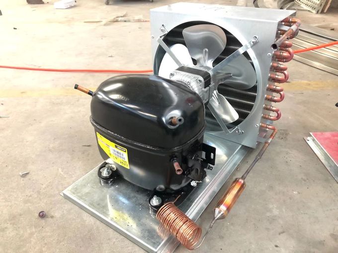 Die feste Tür-eiskalten Verkaufsberater, automatisch entfrosten Cu 42. Ft., Eis-Gefrierschrank im Freien 1