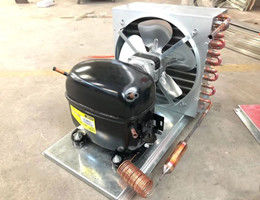 Ventilator, der Handelseisspeicher-Behälter-Innencu 100 abkühlt. Ft., Doppelt-Glastür-Typ 1