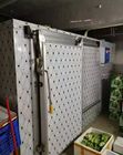 Mini Kühlraum-Raum-Luftkühlungs-Art für das Gemüsefrucht-Einfrieren
