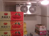 Mini Kühlraum-Raum-Luftkühlungs-Art für das Gemüsefrucht-Einfrieren