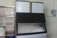 Eis-Würfel-Hersteller-Maschine des Restaurant-550Kg mit Danfoss-Expansions-Tal