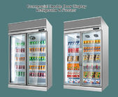 Handels- Bier-Soda-alkoholfreie Getränke und kaltes Getränke-aufrechte Anzeigen-Kühlvorrichtungen mit 2 Glas-Front Door